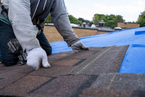 Best Roof Gutter Cleaning  in Sweeny, TX